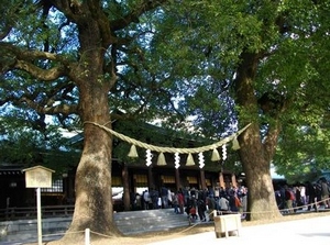 新宿・代々木の魅力-明治神宮-